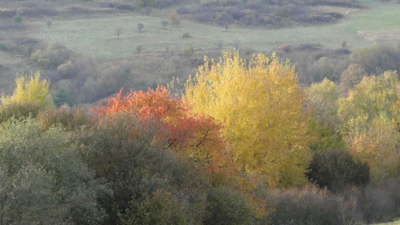JasliskaGutkowa Koliba别墅 外观 照片