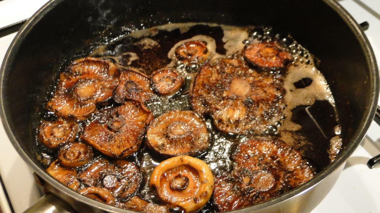 JasliskaGutkowa Koliba别墅 外观 照片